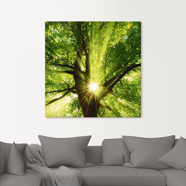 Artland Wandbild »Sonne strahlt explosiv durch den Baum«, Bäume, (1 St.),  als Alubild, Leinwandbild, Wandaufkleber oder Poster in versch. Grössen  jetzt kaufen