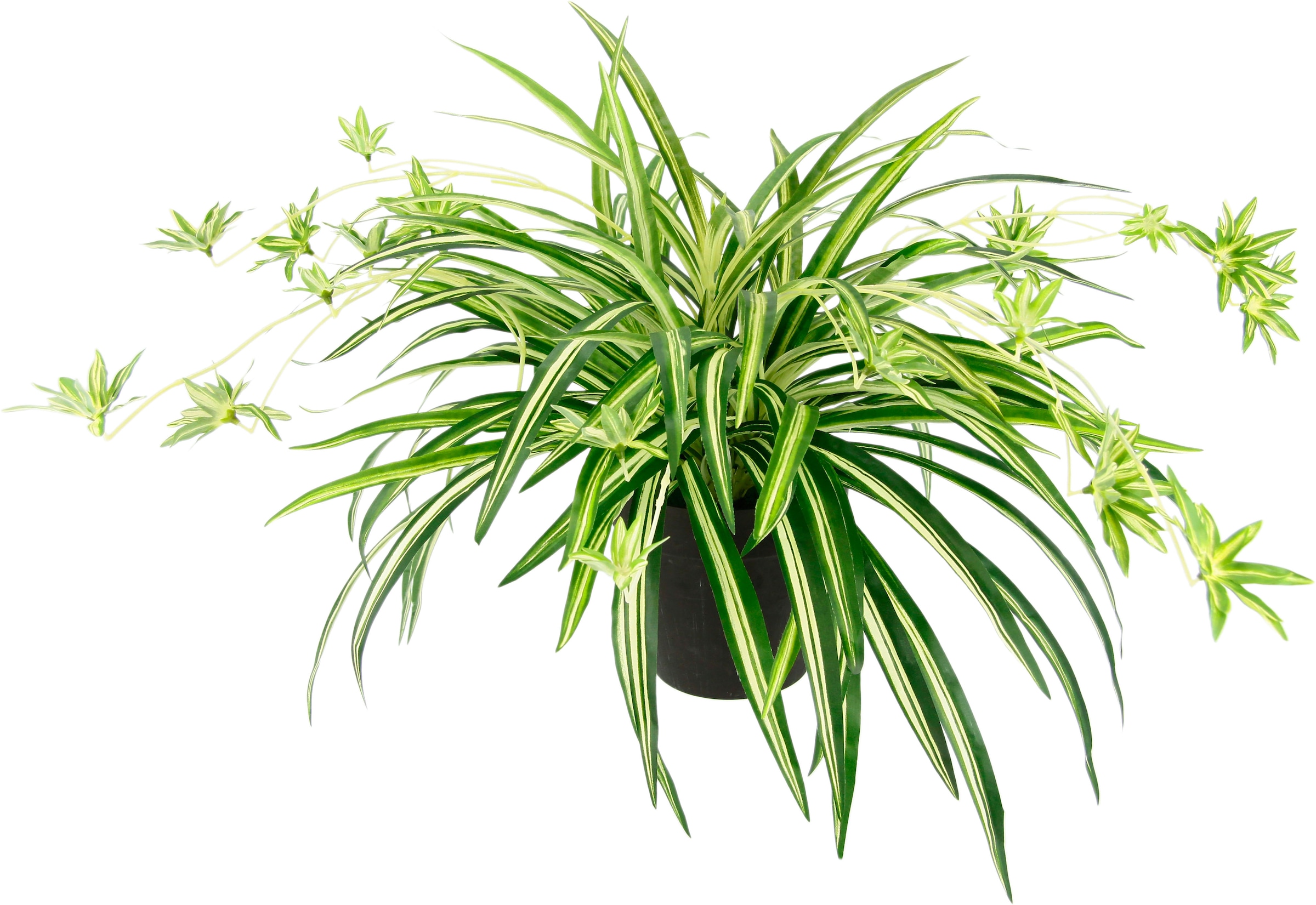 Creativ green Kunstranke »Philodendronhänger«, kaufen günstig im Hängetopf