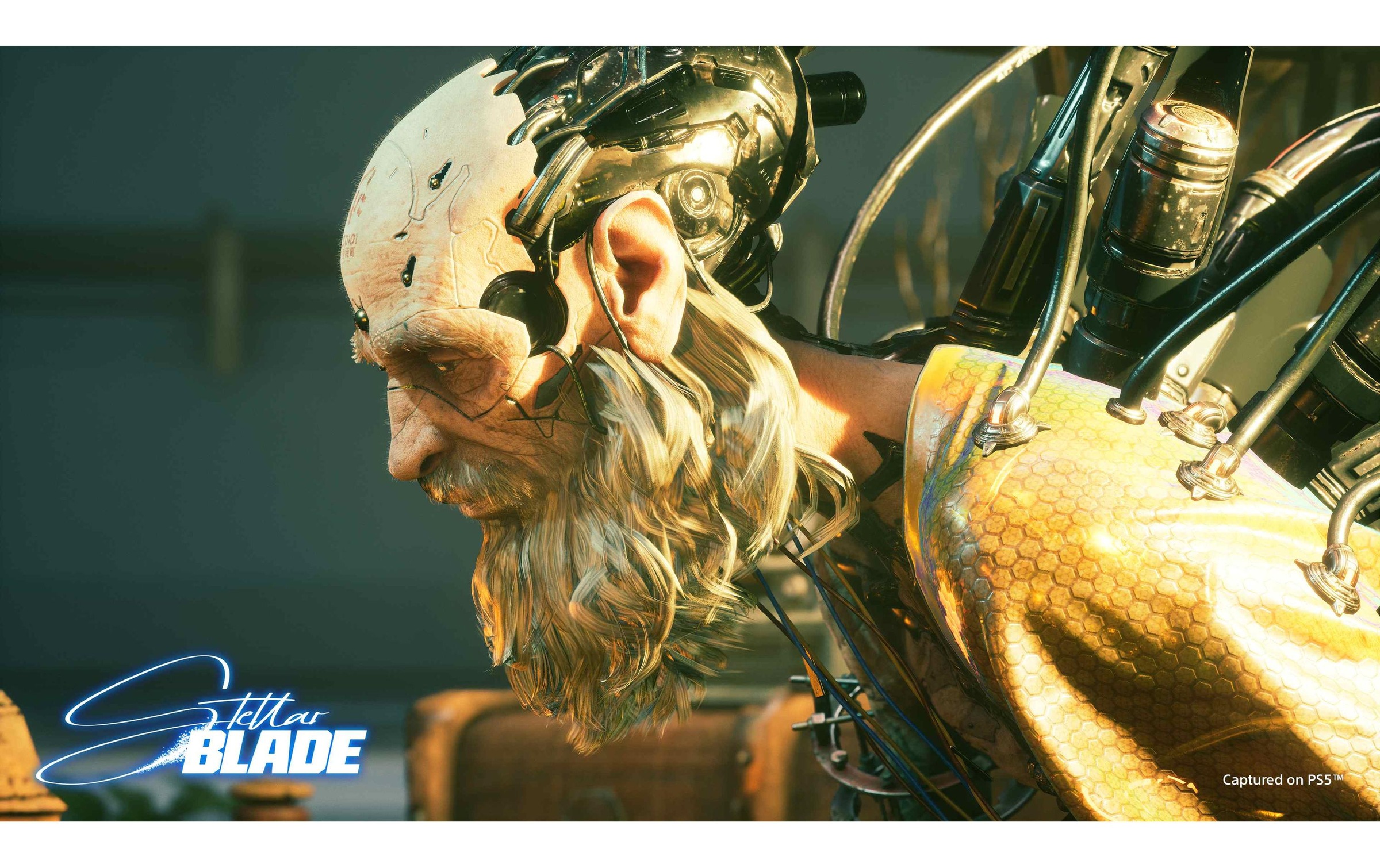 Sony Spielesoftware »Stellar Blade«, PlayStation 5