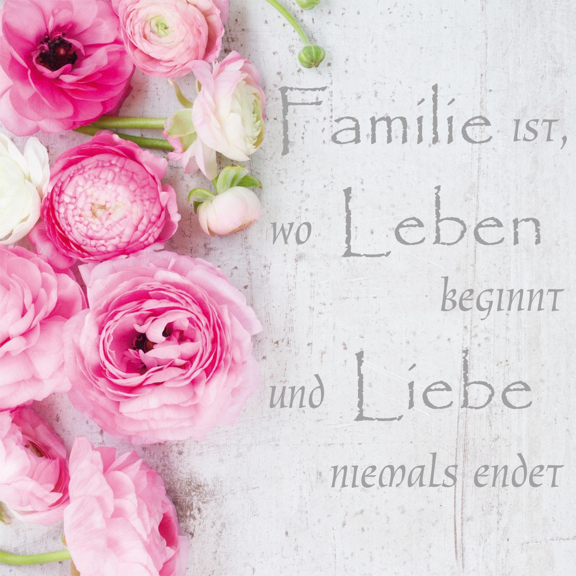 Image of Bönninghoff Glasbild »rosa Rosen«, (1 St.) bei Ackermann Versand Schweiz