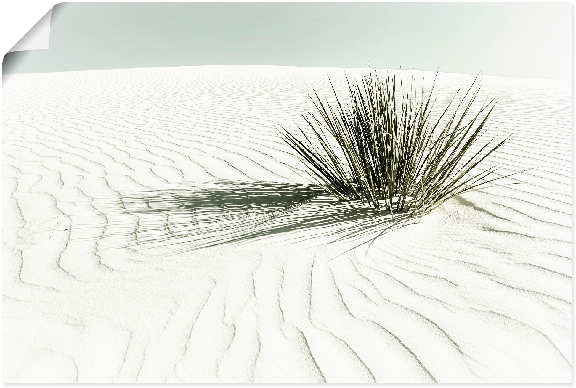 Image of Artland Wandbild »Dünen, weisser Sand Vintage«, Strandbilder, (1 St.), in vielen Grössen & Produktarten - Alubild / Outdoorbild für den Aussenbereich, Leinwandbild, Poster, Wandaufkleber / Wandtattoo auch für Badezimmer geeignet bei Ackermann Versand Schw