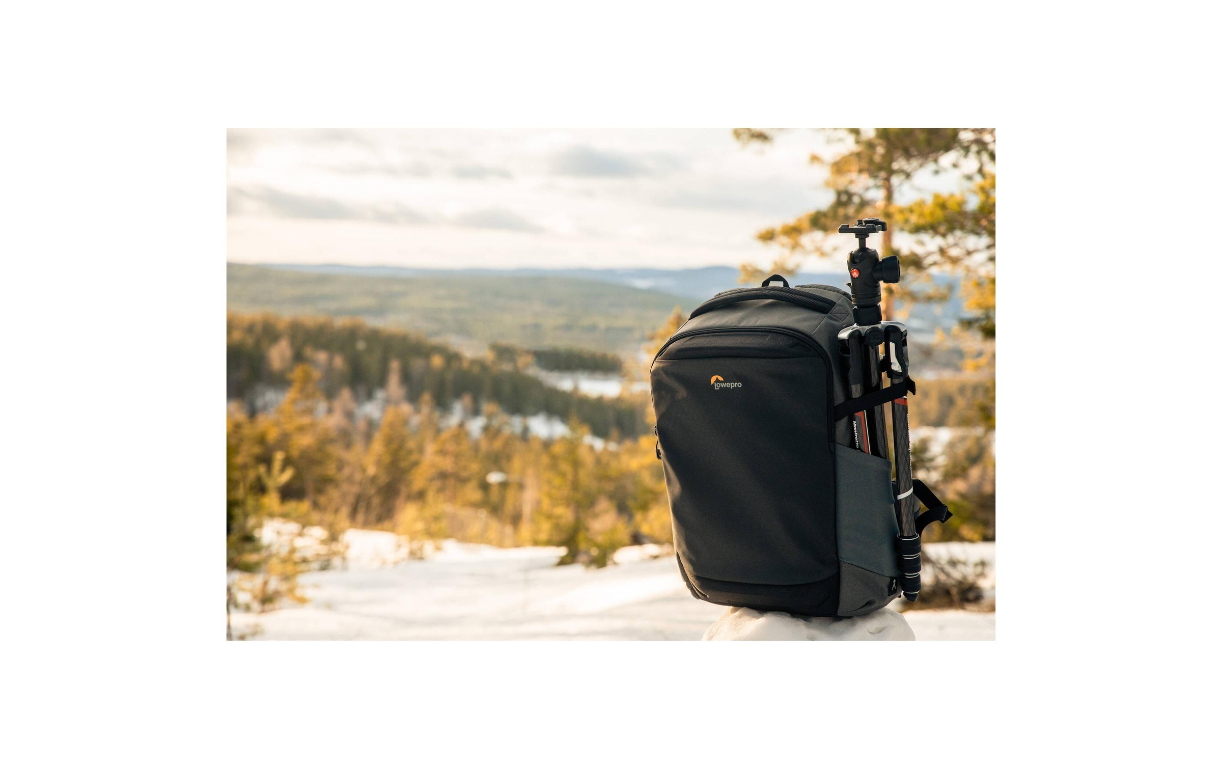 Lowepro Kameratasche »Flipside 400 AW III«