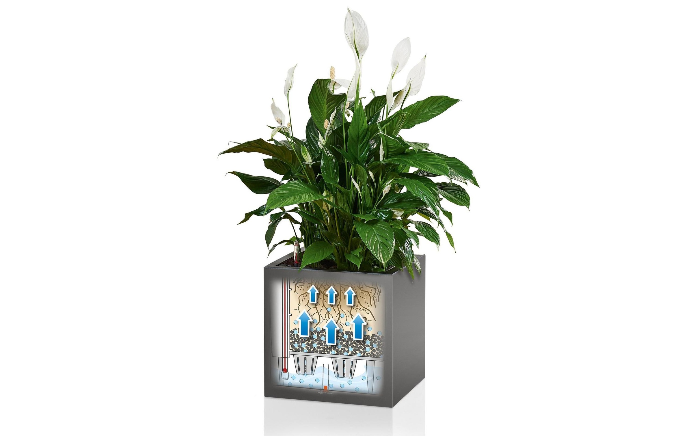   Bac à plantes »Lechuza CANTO Premium 40 low«