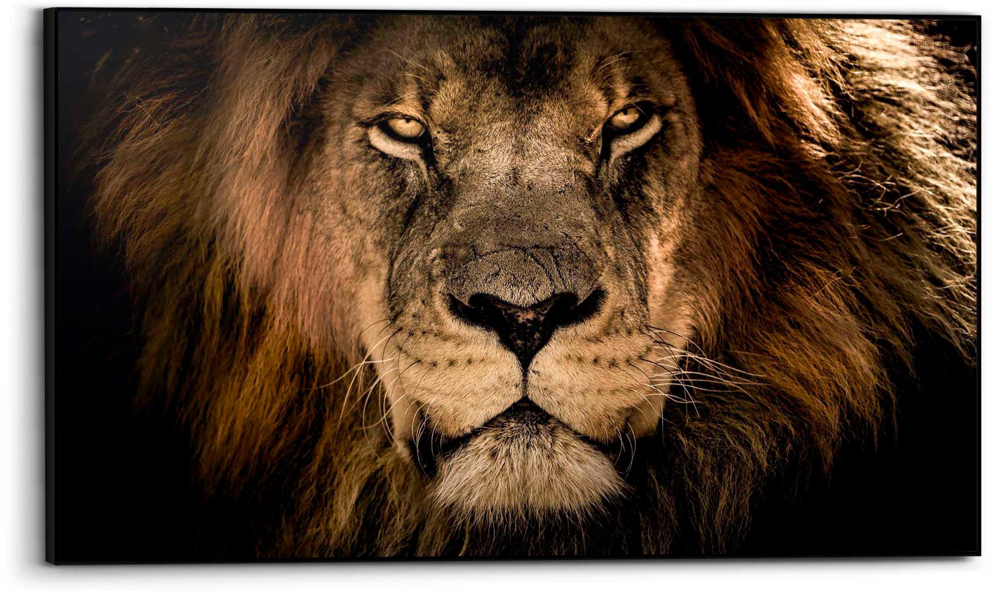 Image of Reinders Bild "Löwe"