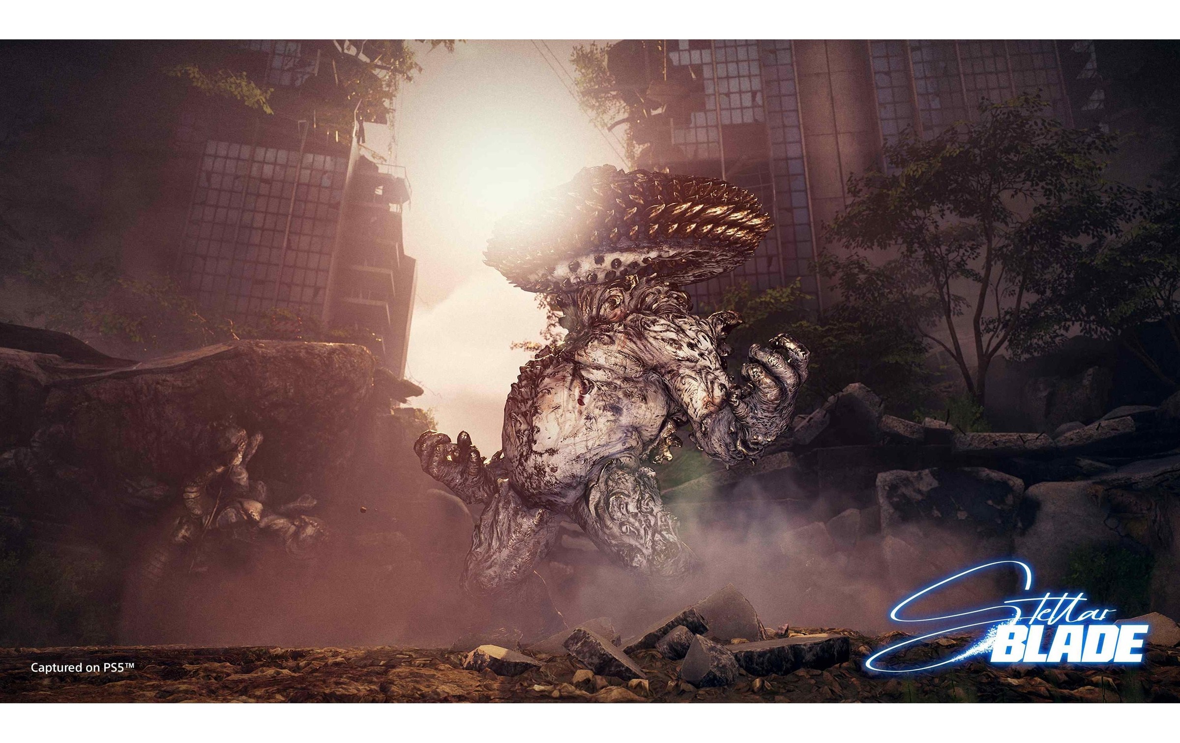 Sony Spielesoftware »Stellar Blade«, PlayStation 5