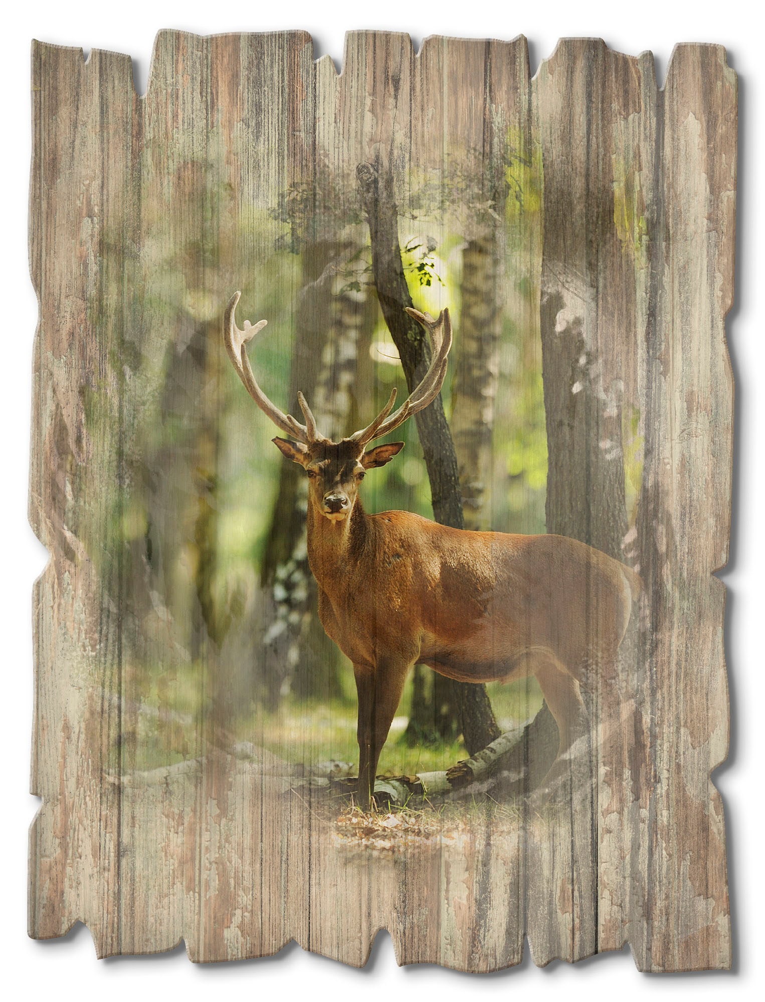 Artland Holzbild »Hirsch 4 - Wald«, Wildtiere, (1 St.) jetzt kaufen | Kunstdrucke