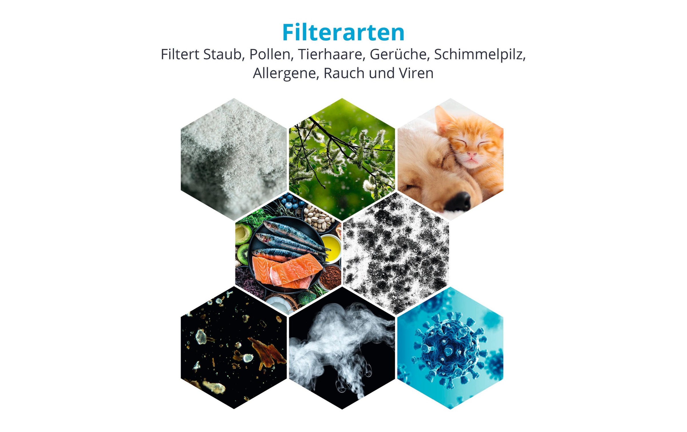 Medion® Luftreiniger »MD 19878«
