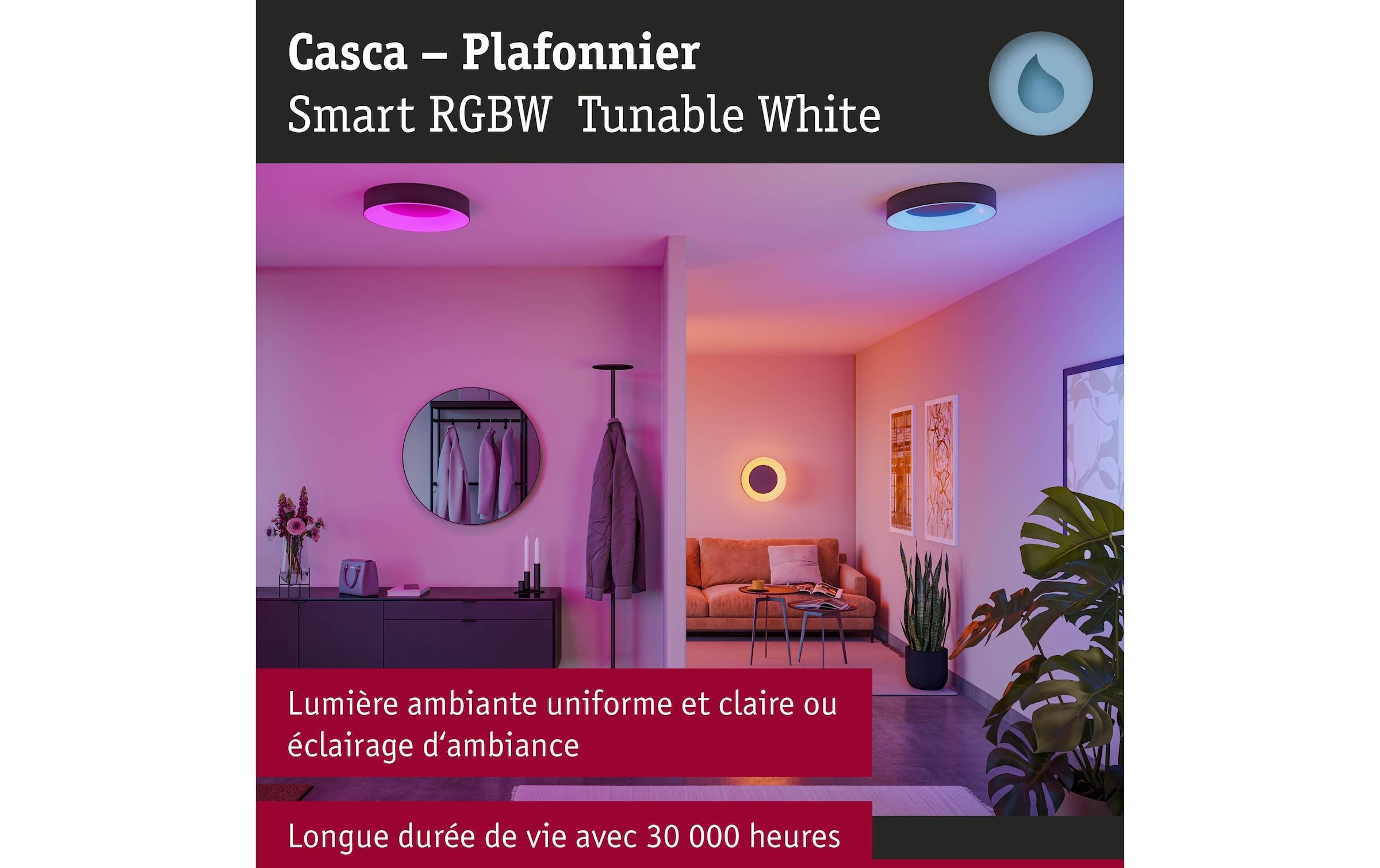 Paulmann Deckenleuchte »Casca« LED-Modul 1 Stk. Tageslichtweiss dimmbar
