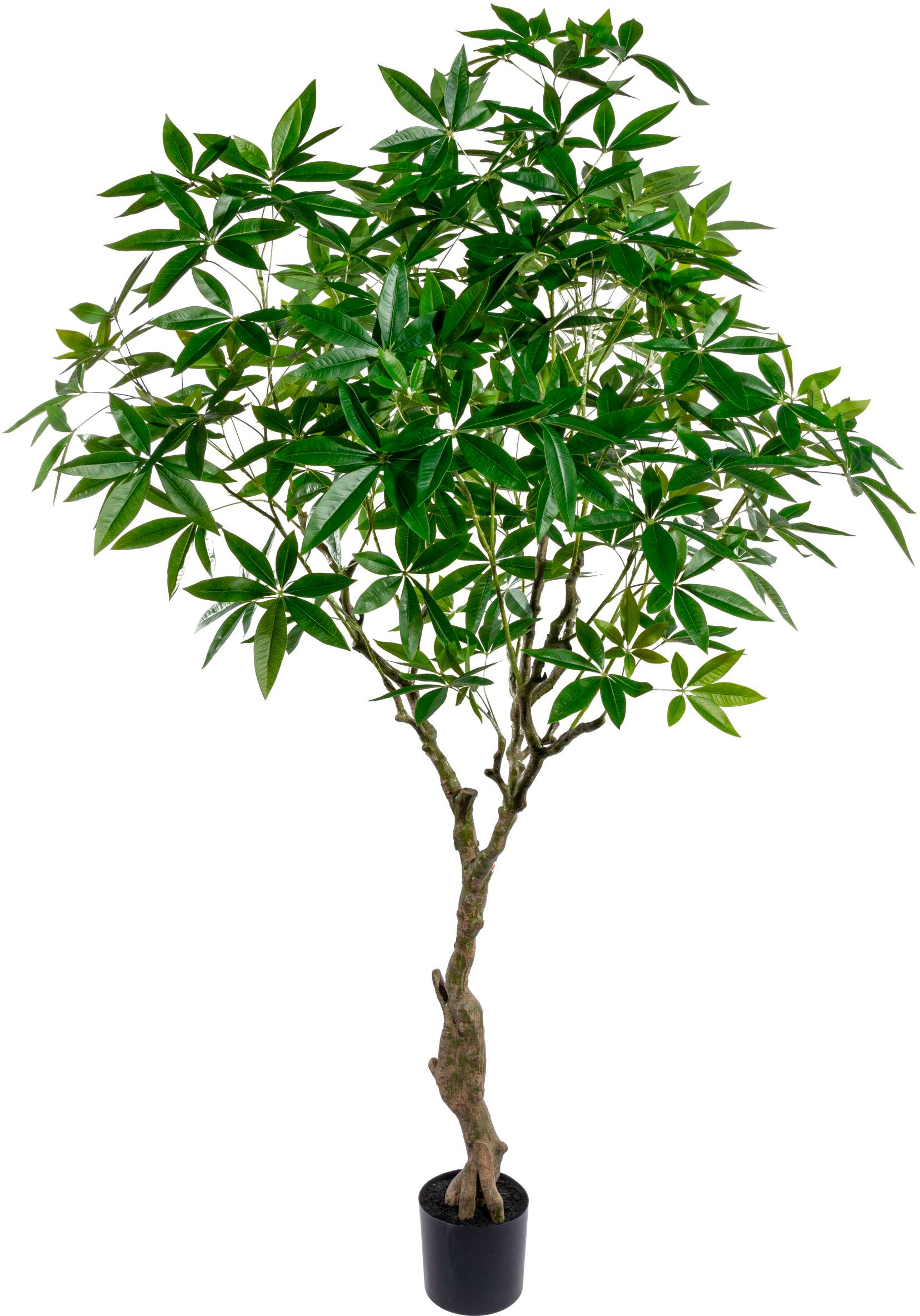 Creativ green Kunstbaum »Colocasia«, im Topf bequem kaufen | Kunstpflanzen