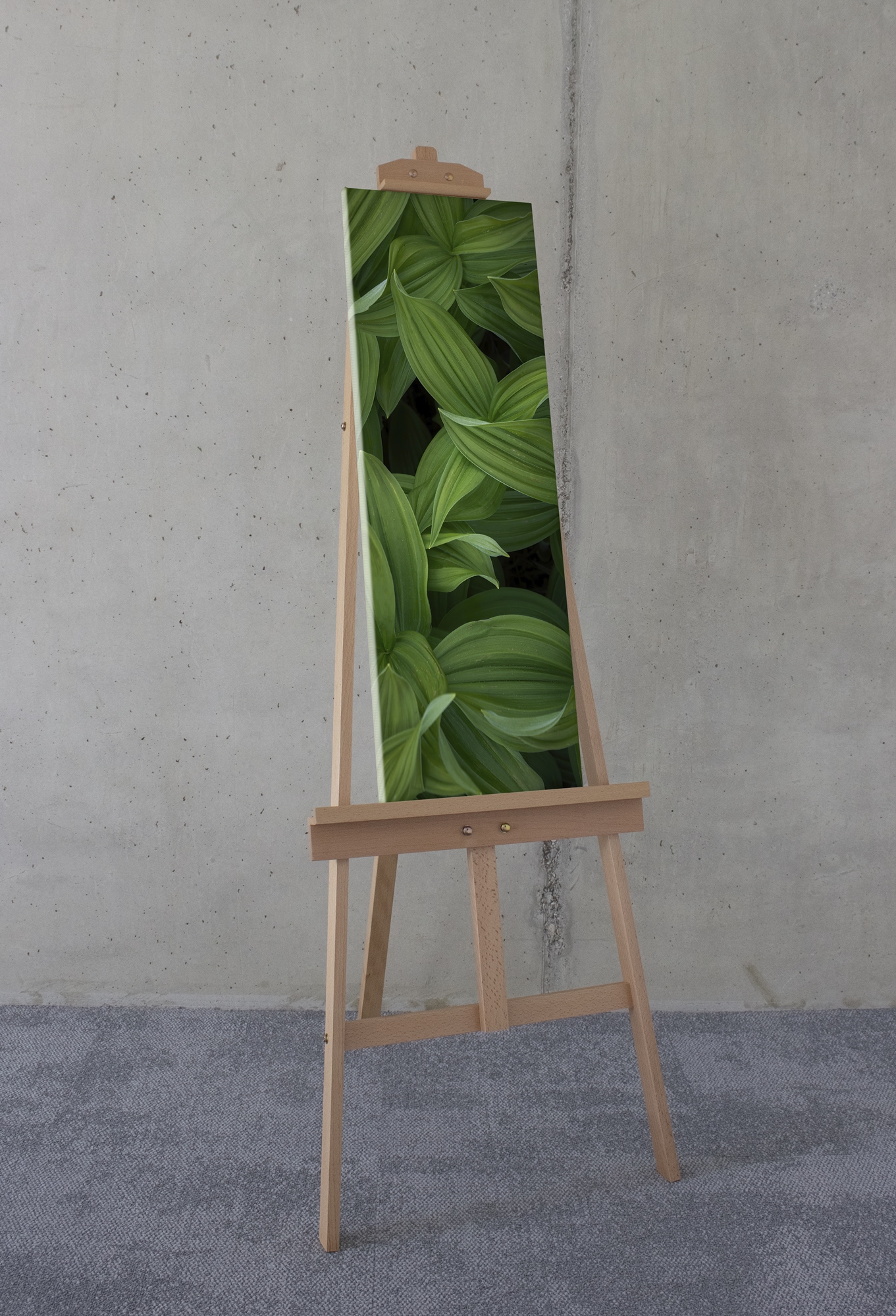 Komar Leinwandbild »Ancilla - Grösse 30 x 90 cm«, Natur, (1 St.), Keilrahmenbild mi Echtholzrahmen