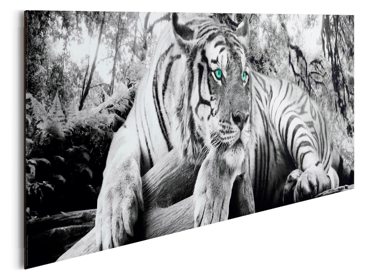 Home affaire Deco-Panel »Tiger guckt dich an«