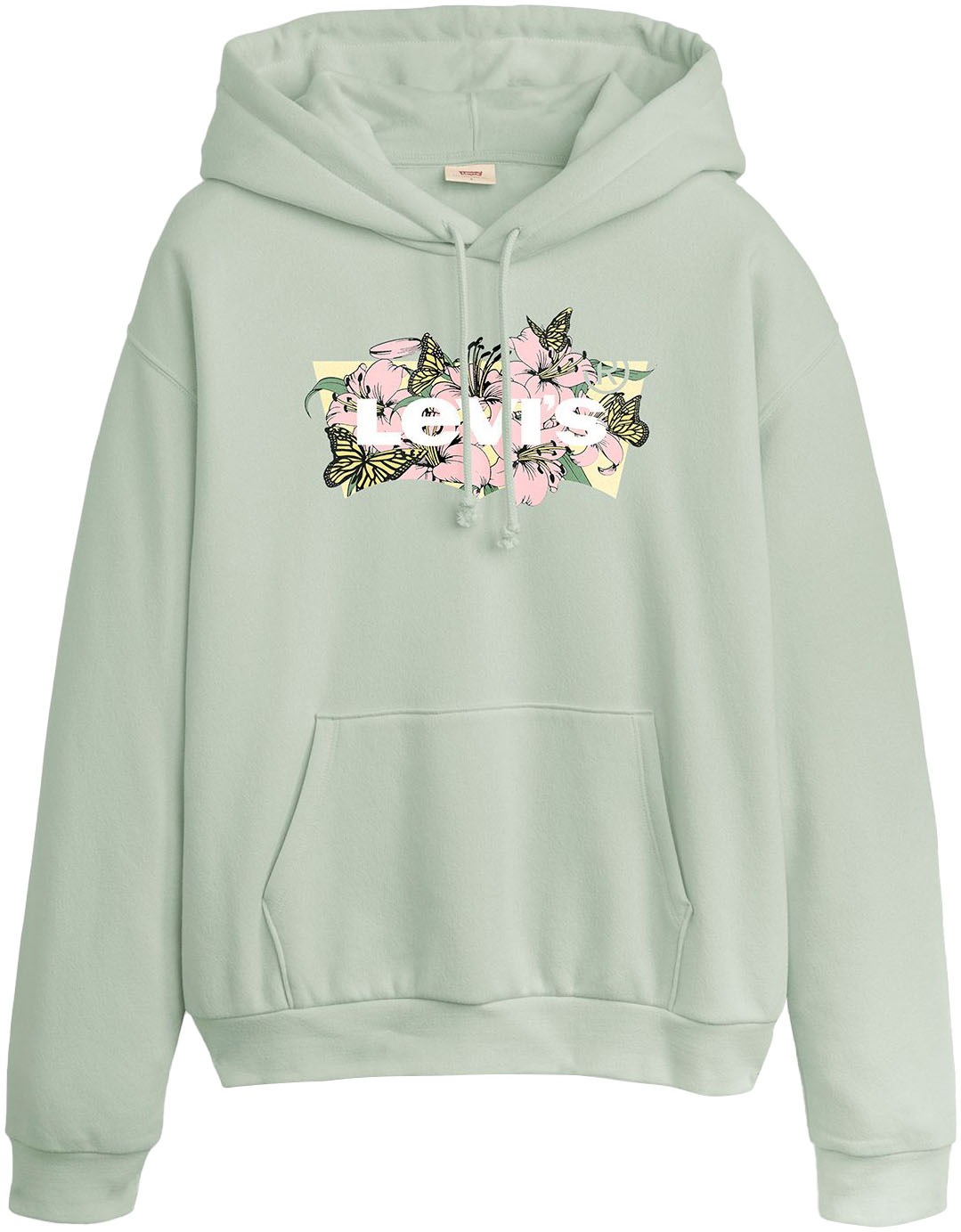 Levi's® Hoodie »GRAPHIC EVERYDAY HOODIE«