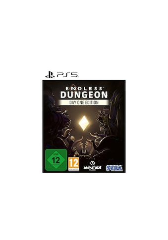 Spielesoftware »Endless Dungeon Day One Edition«, PlayStation 5