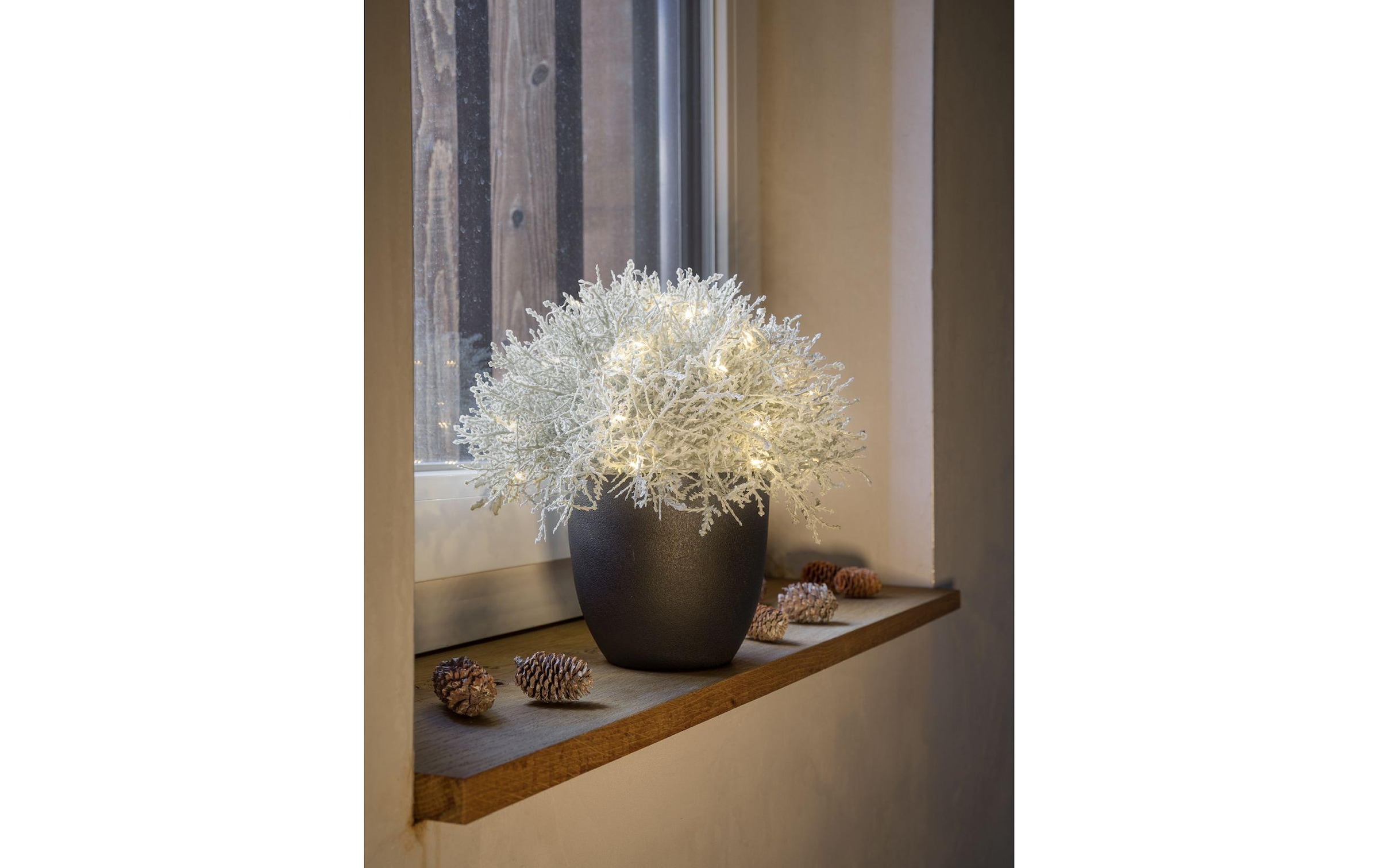 STT Arbre LED »Calo 35«