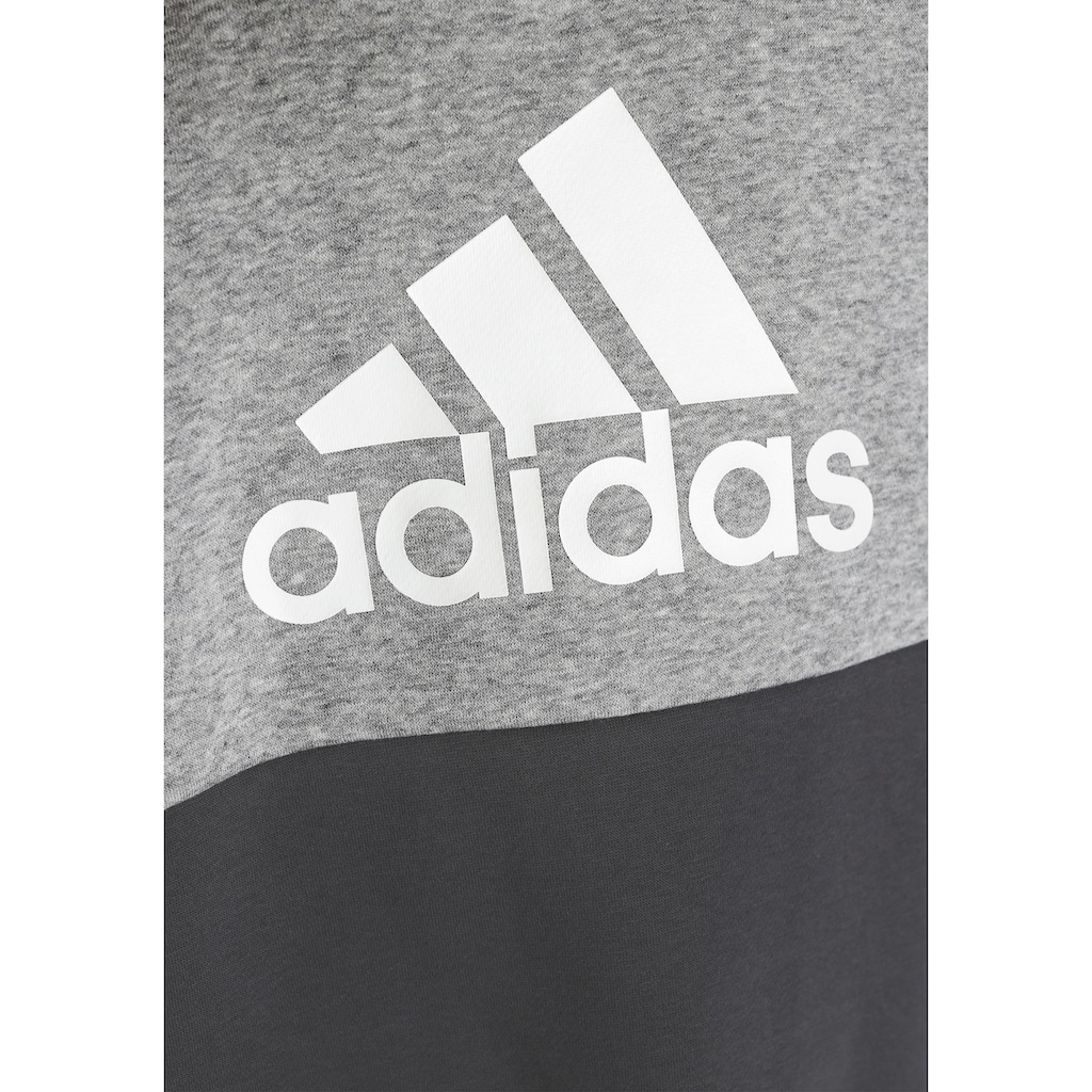 adidas Sportswear Trainingsanzug »COLOURBLOCK FLEECE«, (2 tlg.)