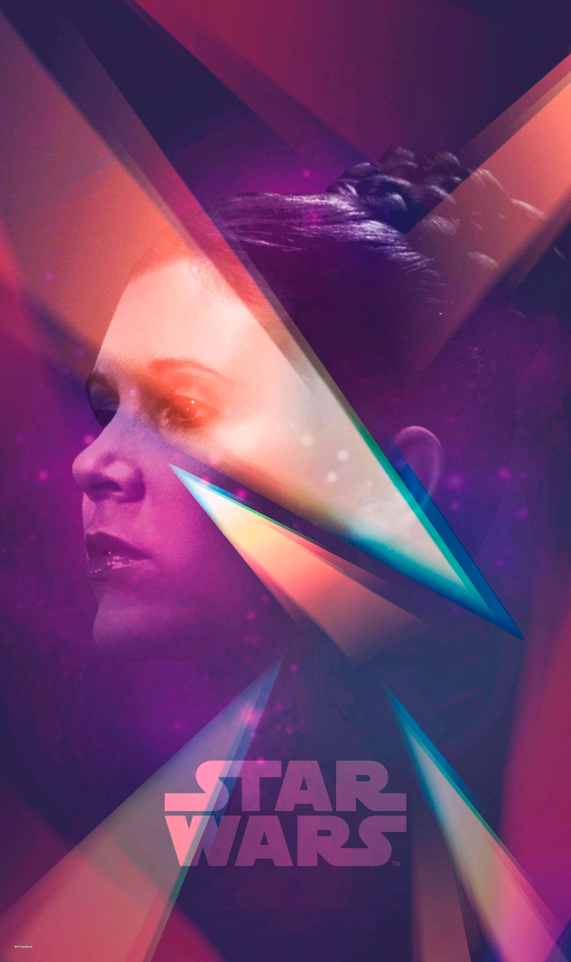 Image of Komar Vliestapete »Star Wars Female Leia«, Comic bei Ackermann Versand Schweiz