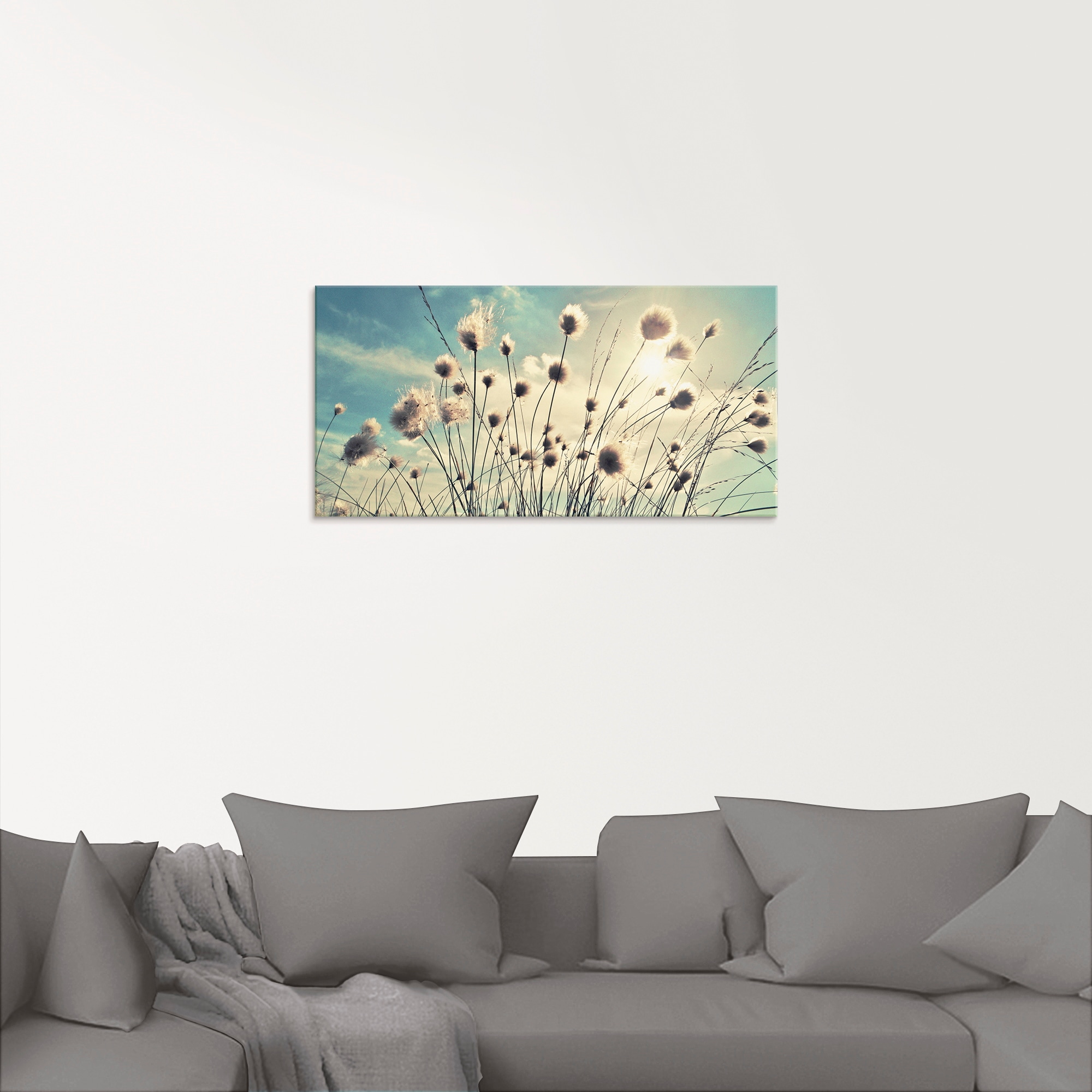 Artland Glasbild »Wollgras«, Gräser, (1 St.), in verschiedenen Grössen