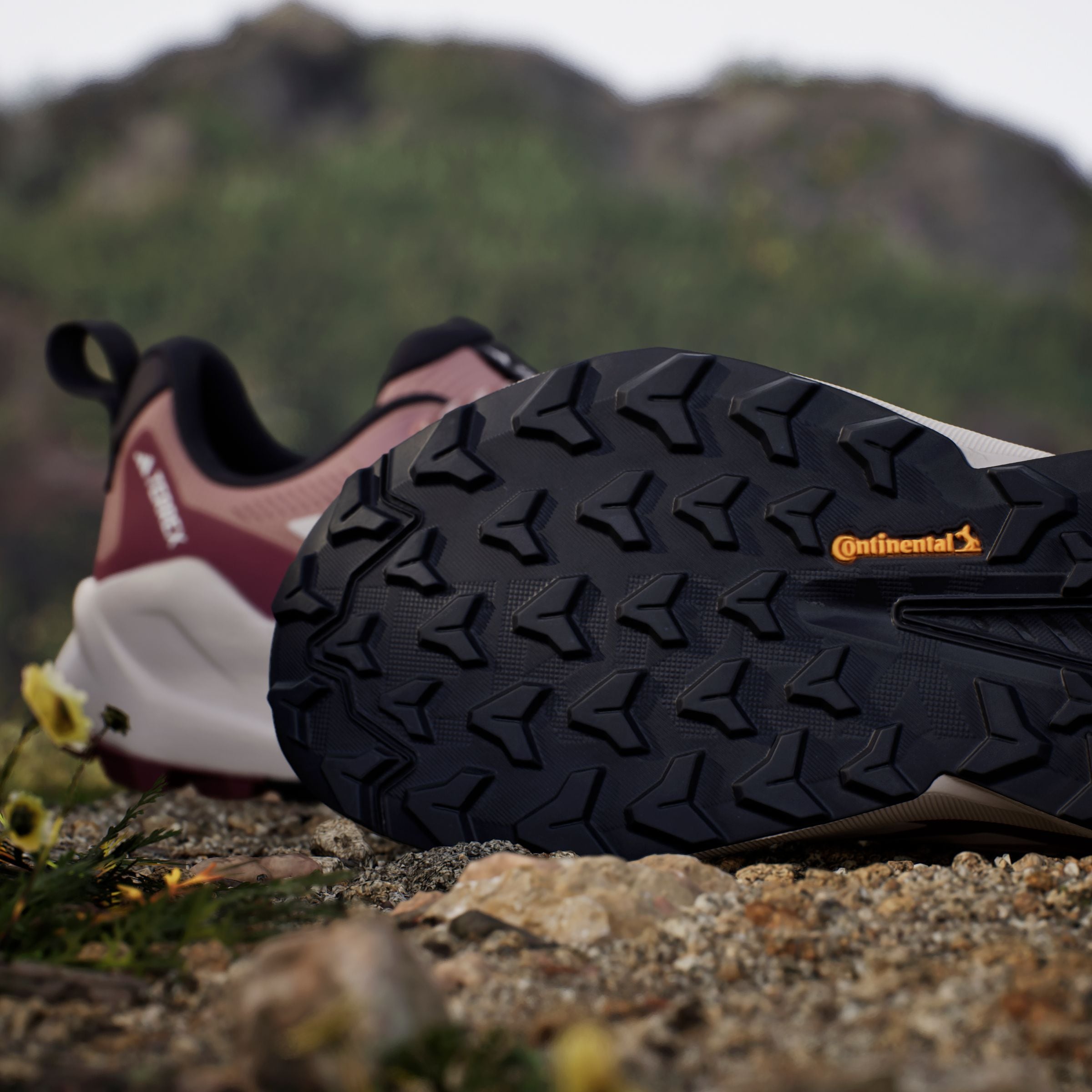 adidas TERREX Wanderschuh »TERREX TRAILMAKER 2.0 GORE-TEX«, wasserdicht