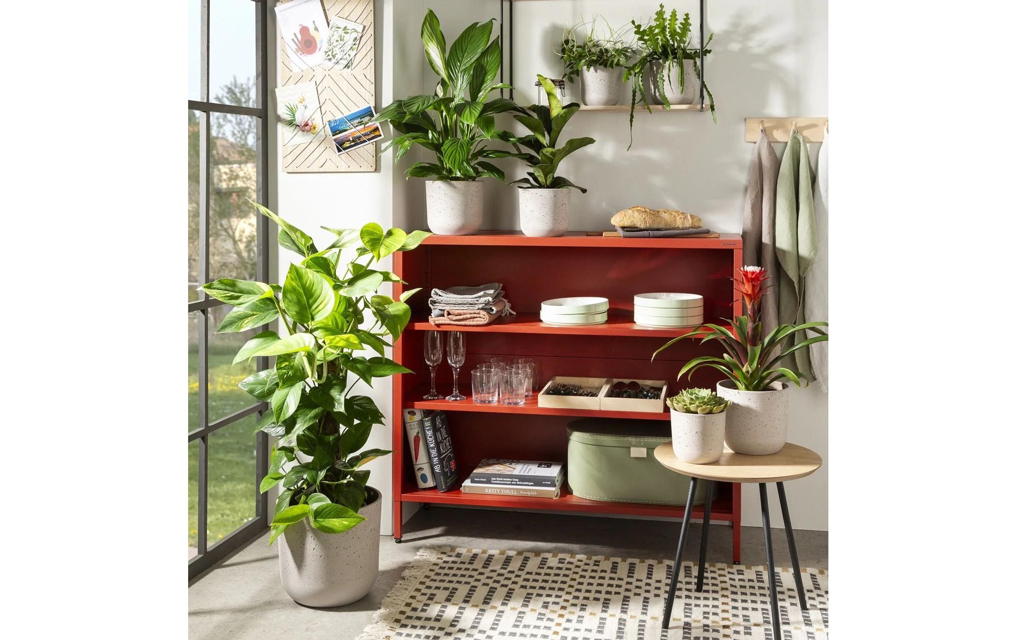Scheurich Blumentopf »Basalto 980«