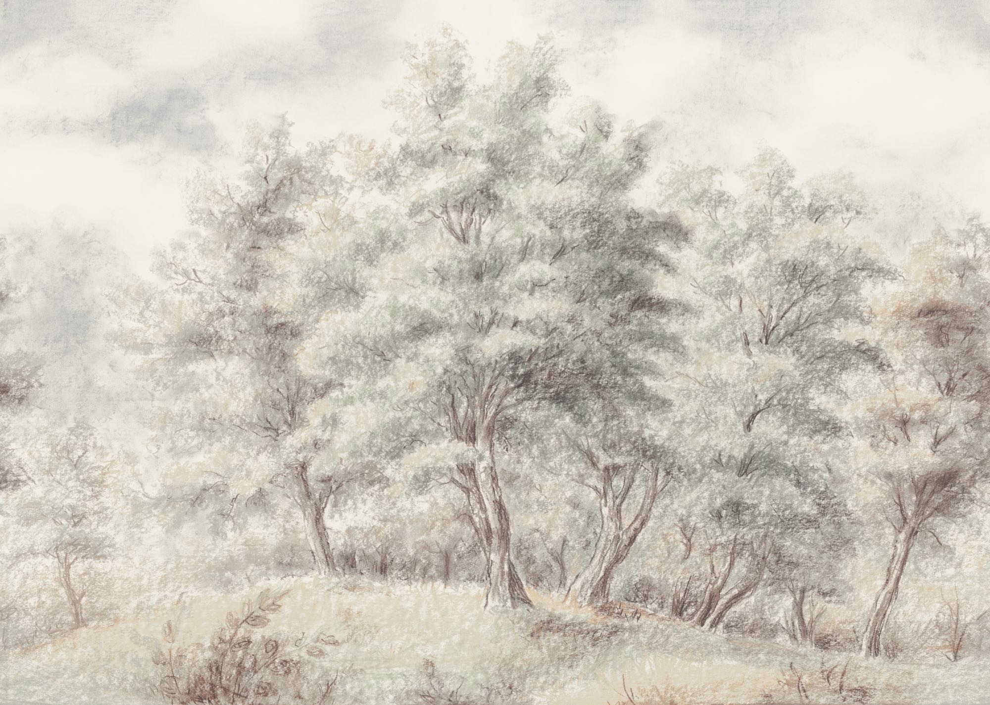 Komar Papier peint photo »Vlies Fototapete - Grove - Grösse 350 x 250 cm« imprimé