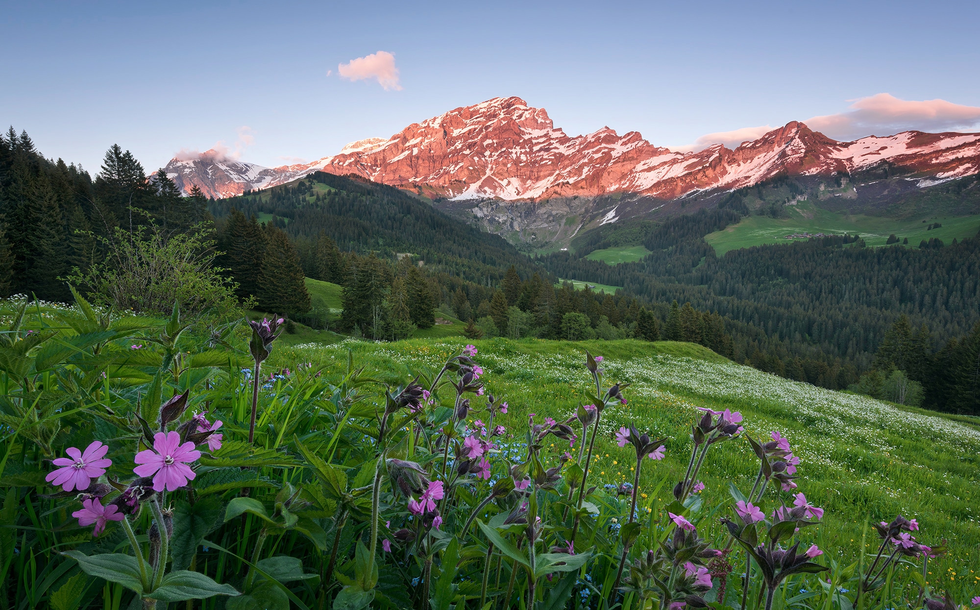Image of Komar Vliestapete "Digitaldruck Vlies - Picturesque Switzerland - Grösse 450 x 280 cm" bedruckt glatt Wohnzimmer, Schlafzimmer