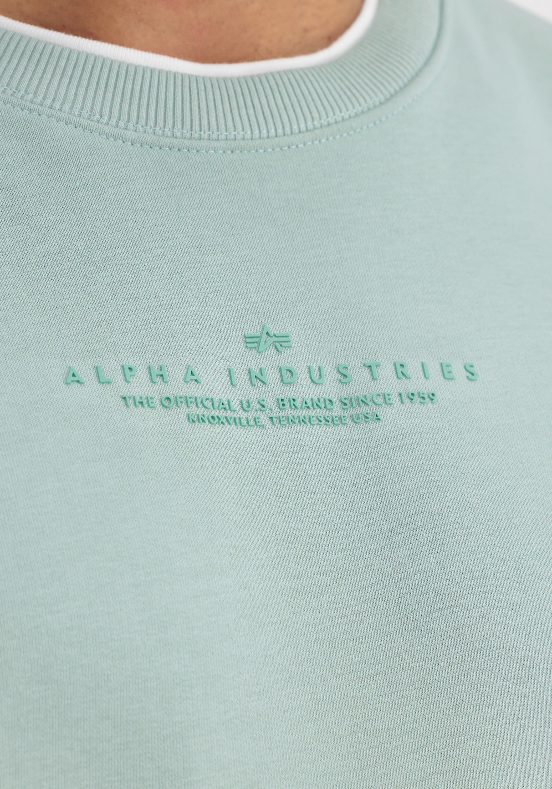Alpha Industries Sweater »Alpha Industries Men - Sweatshirts Double Layer Sweater«