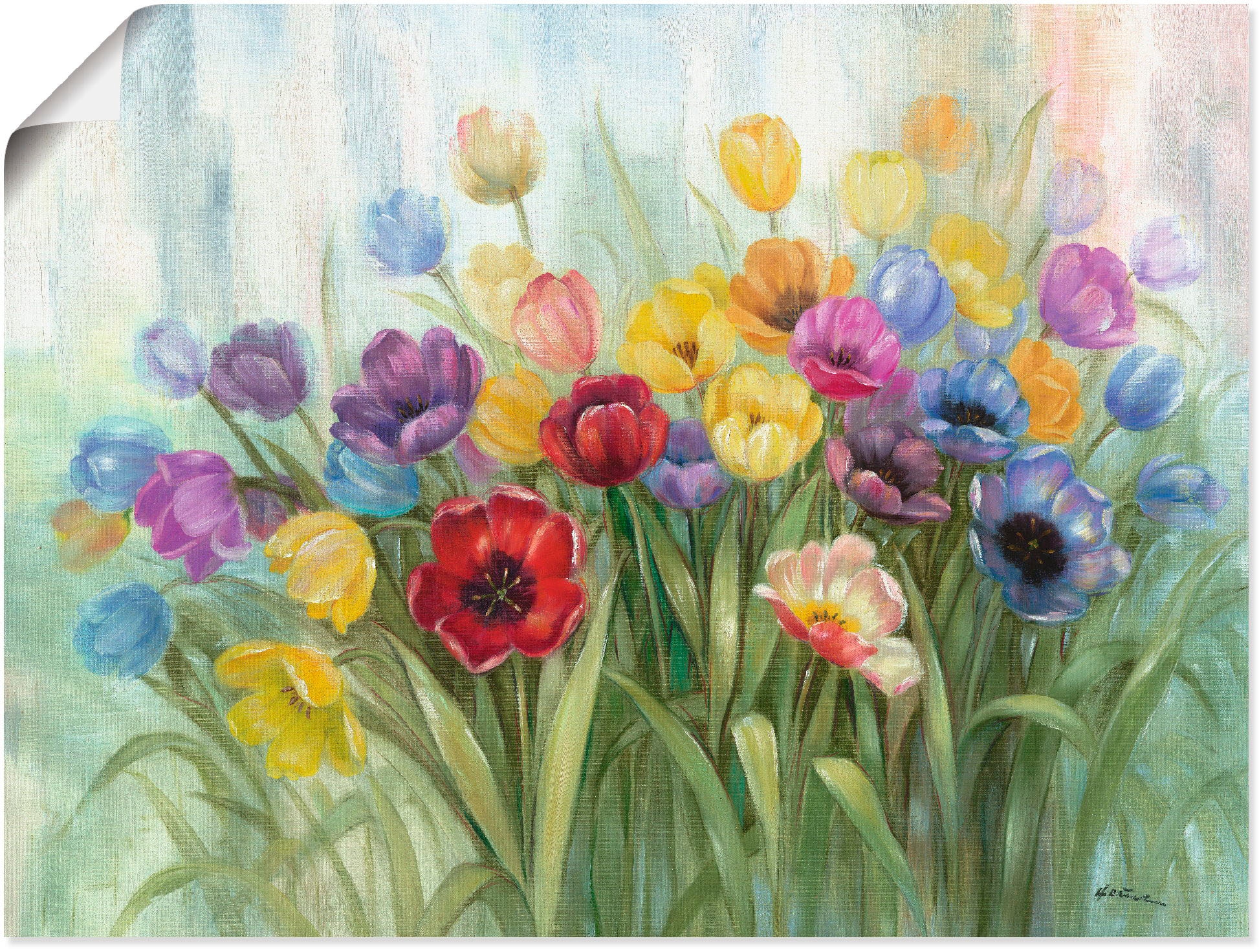 Image of Artland Wandbild "Tulpenwiese I" Blumenwiese 1 Stk. tlg. als Leinwandbild, Poster in verschied. Grössen