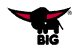 BIG